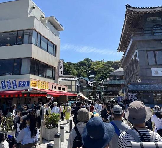 日本旅遊哪個城市最火的,日本旅遊哪個城市最火的地方