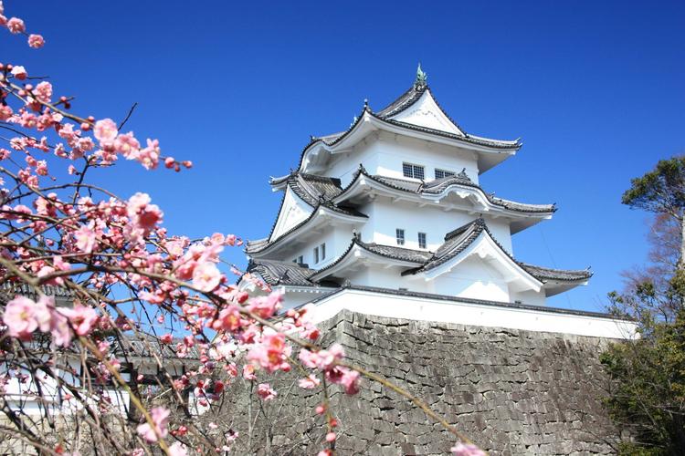 日本中部地區旅遊點,日本中部旅遊景點