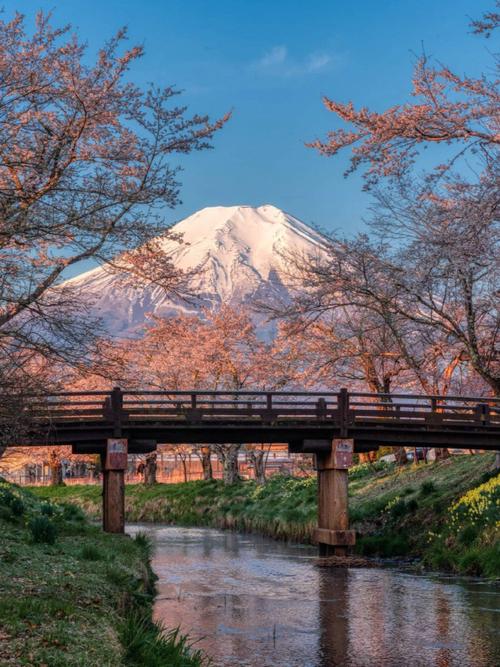 日本各省旅遊人數排行,日本各省旅遊人數排行榜