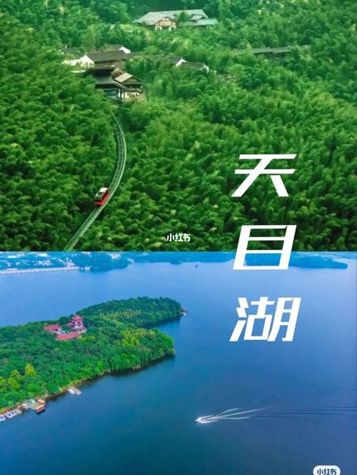 遊輪旅遊常州線路推薦,遊輪旅遊常州線路推薦一下