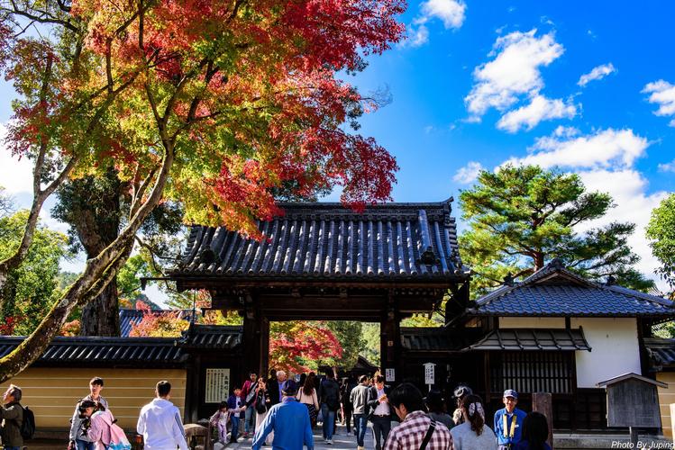 日本大阪的旅遊文化特點,日本大阪的旅遊文化特點是什麼(me)