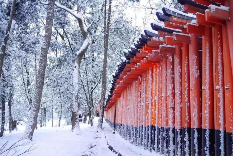 日本冬天金澤旅遊景點（冬天日本必去十大景點排名）