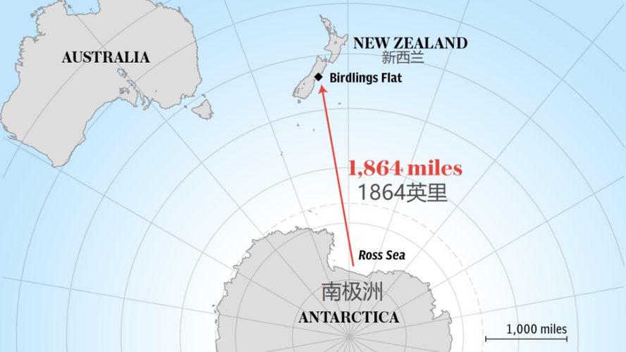 去南極旅遊從新西蘭去（新西蘭離南極最近的地方）