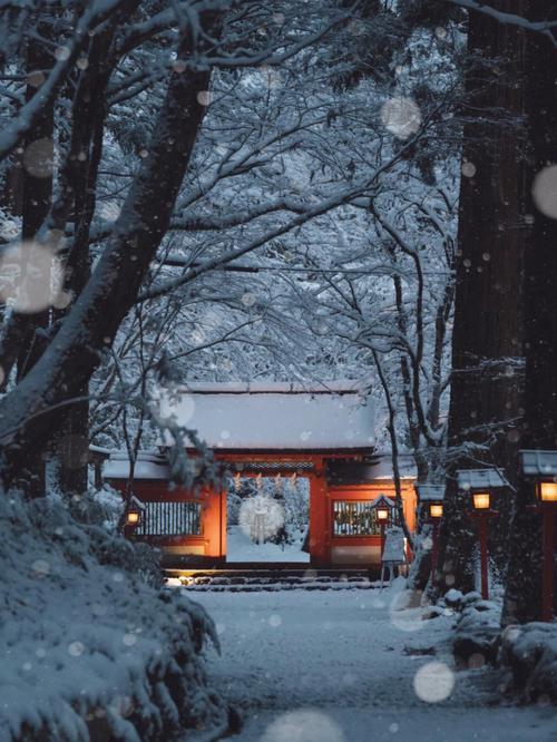 冬天日本旅遊,冬天日本旅遊去哪裡(lǐ)好(hǎo)