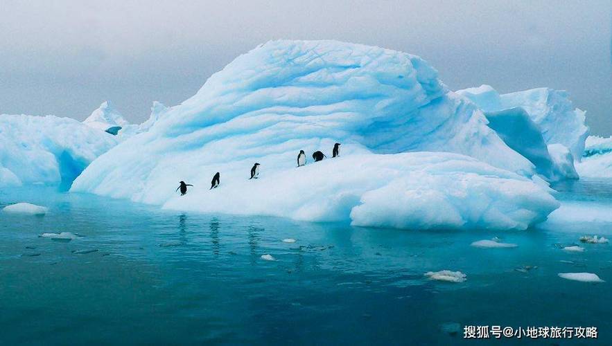 南極旅遊人多少錢,南極旅遊人多少錢一天