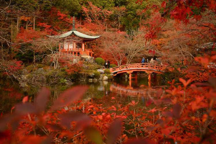 日本的秋季旅遊景點有,日本的秋季旅遊景點有哪些