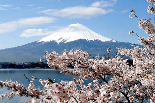 2月日本旅遊,二月日本旅遊