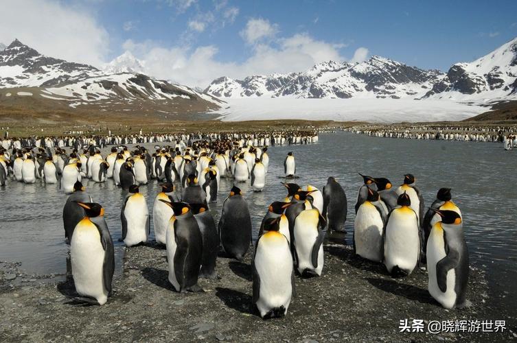 南極洲旅遊業,南極洲旅遊業特點