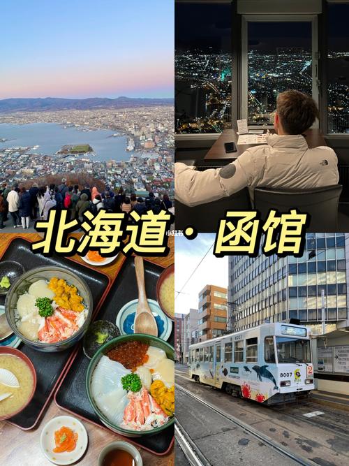 日本旅遊損失2022,日本旅遊損失