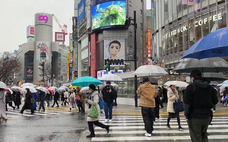 下雨天旅遊日本安全嗎冬天（日本夏天下雨最多的地方）