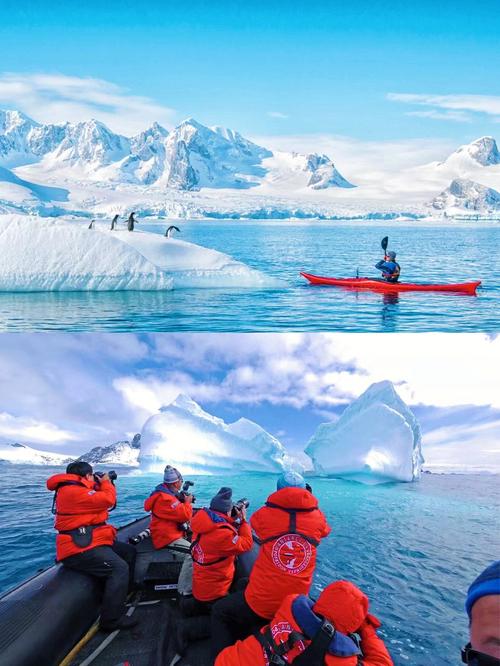 南極旅遊帶孩子多少錢,南極旅遊帶孩子多少錢一天