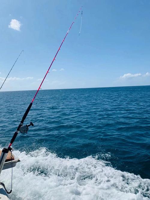 旅遊遊輪上可以釣魚嗎,旅遊遊輪上可以釣魚嗎現在