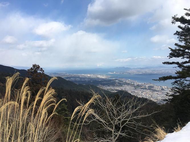 日本遊客熱衷去哪旅遊了,日本遊客熱衷去哪旅遊了呢