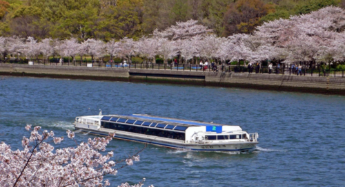 日本旅遊坐船,日本旅遊坐船多少錢