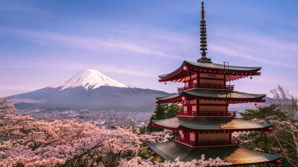 日本旅遊感悟,日本旅遊感悟唯美句子