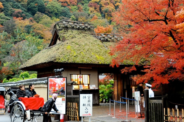 日本十月旅遊,日本十月旅遊攻略