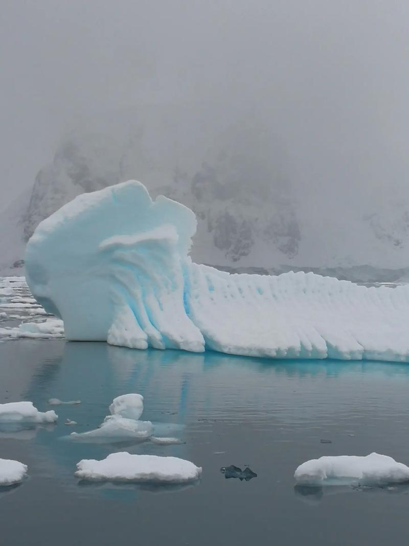 南極旅遊資源相同的,南極旅遊資源相同的地方