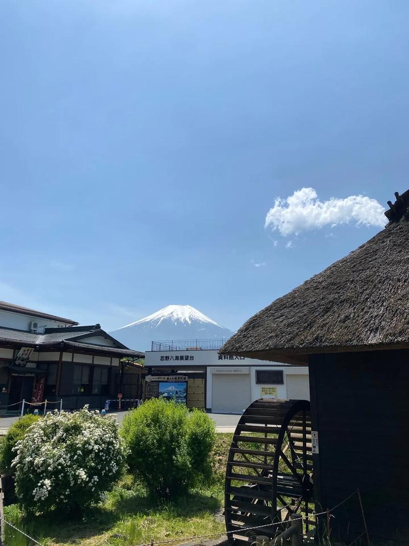 日本大阪旅遊7天的費用,日本大阪旅遊7天的費用是多少