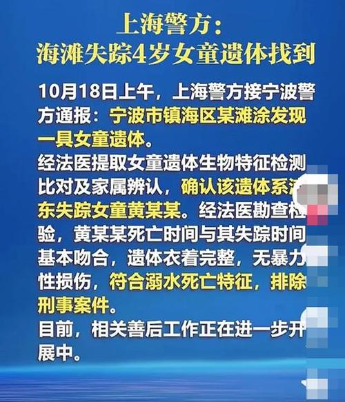 日本女孩到上海旅遊失蹤,日本女孩到上海旅遊失蹤事(shì)件