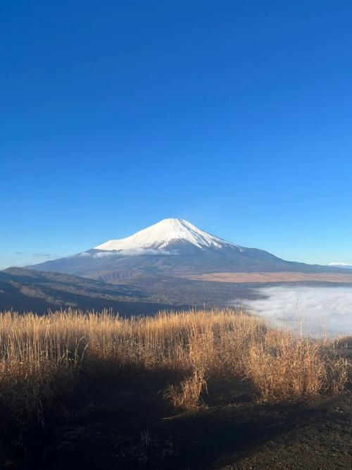 還(hái)能(néng)去日本旅遊嗎2022,還(hái)能(néng)去日本旅遊嗎2022年