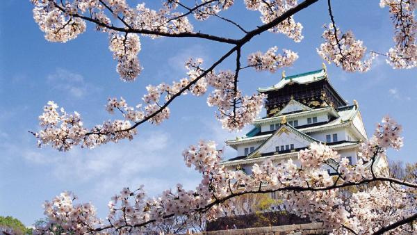 跟團去日本旅遊,跟團去日本旅遊需要什麼(me)條件