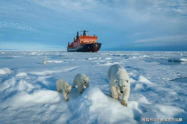 南極旅遊攻略三天跟團,南極旅遊攻略三天跟團多少錢